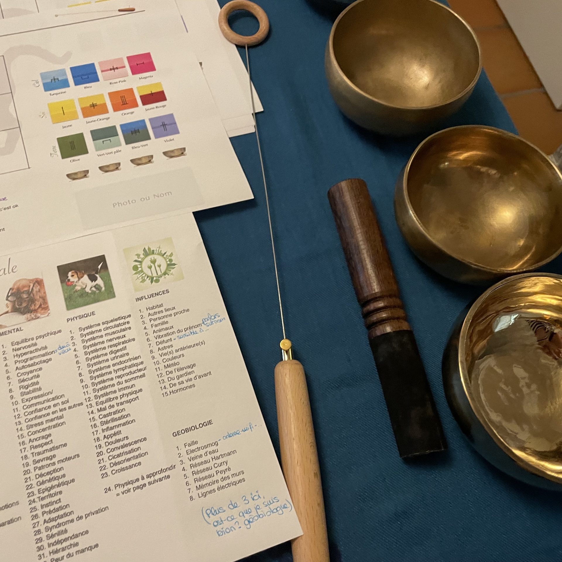 08C385E4-D66C-4136-A44E-801E21ACF7CB_1_201_a