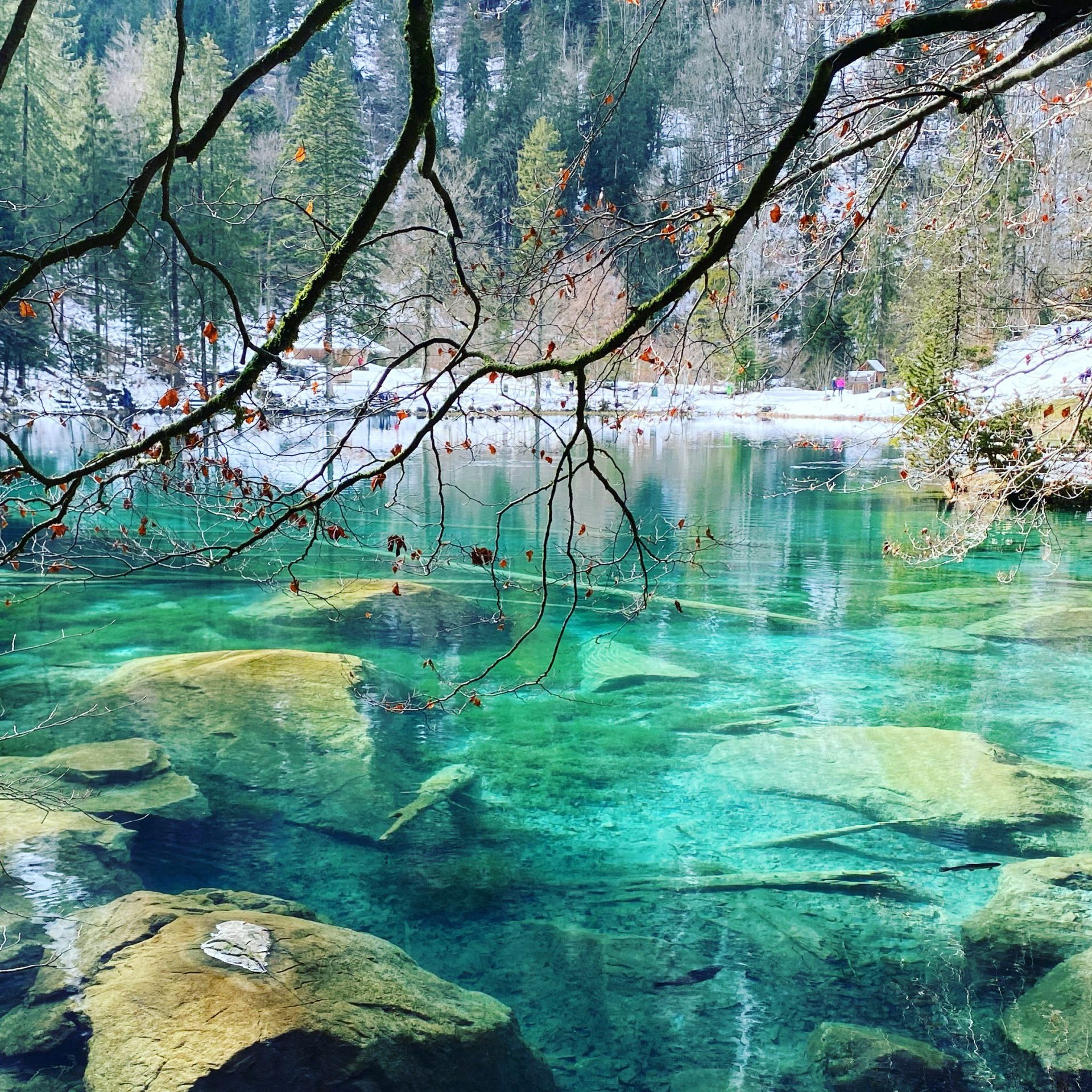 A1BD9944-C418-485F-A66B-6317117F52A2