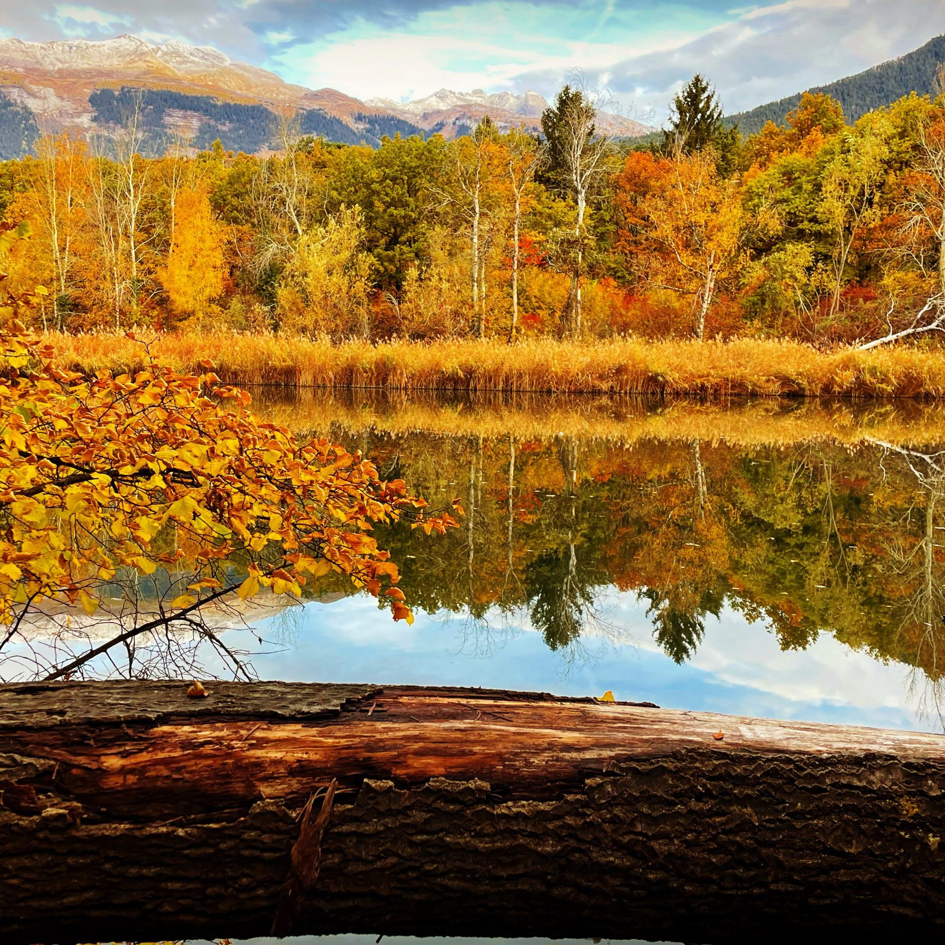 F16EC78D-9360-4693-AAB8-AF4BBEC0E5B2