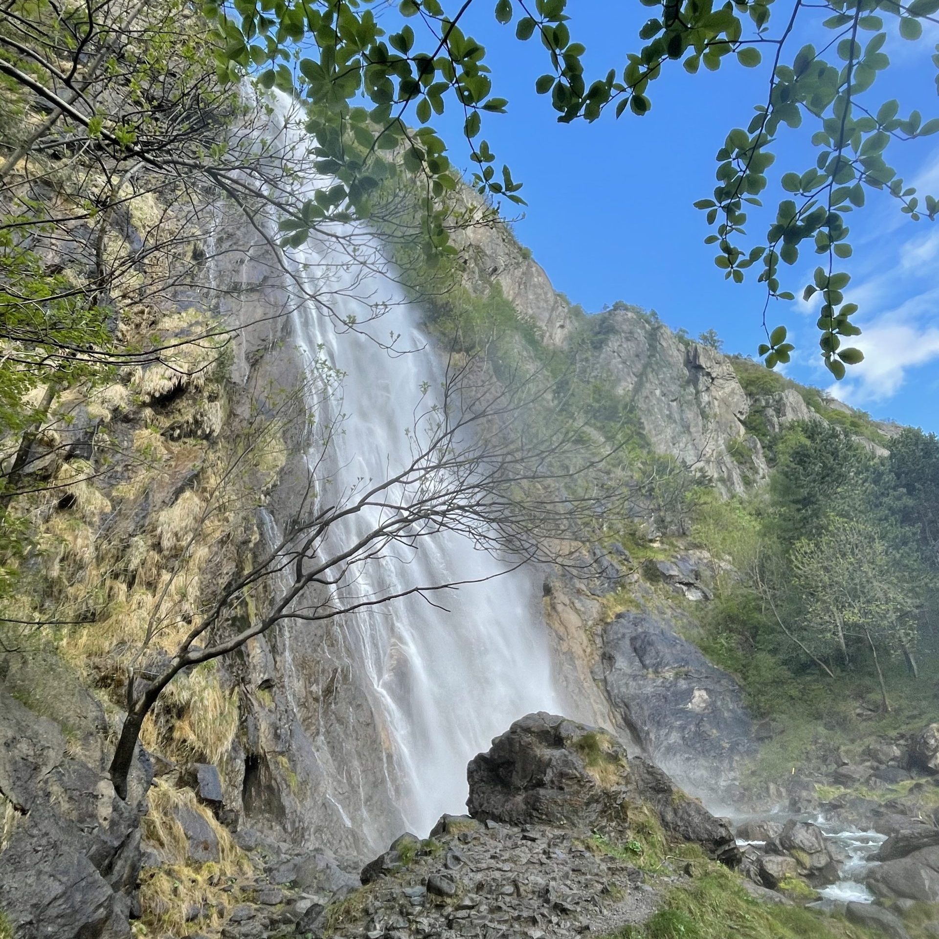 201D14F6-6A01-4214-B438-35AC034D6A35