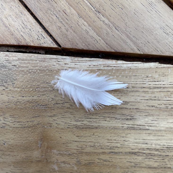 47CD01DB-703A-4302-943B-28CC37392878_1_105_c